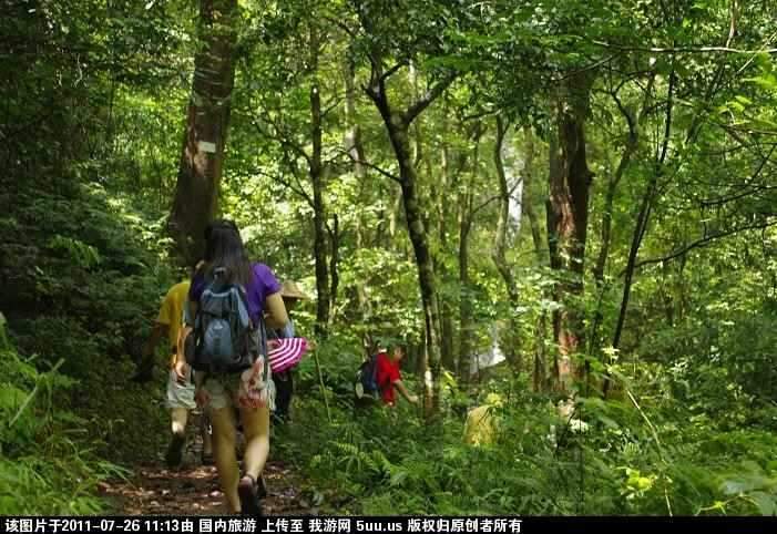旅游网.jpg