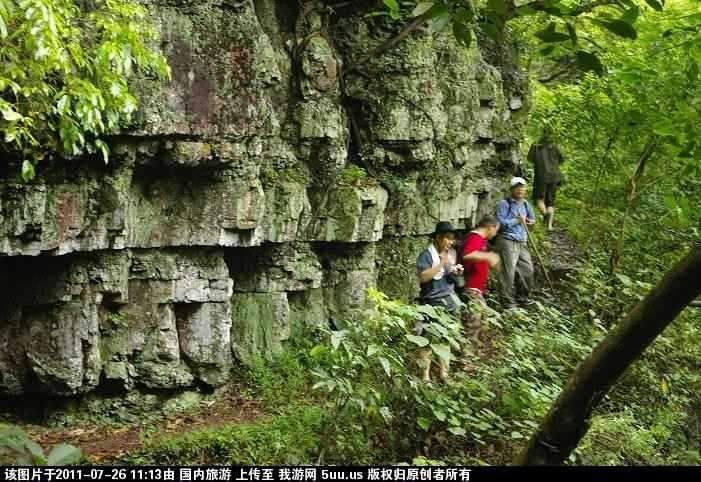 旅游网3.jpg