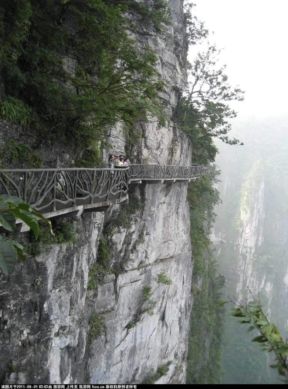 杨家界2.jpg