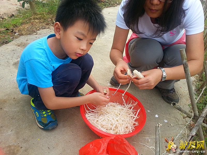 20141130_151731_副本.jpg