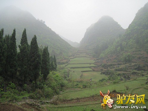 照片 11644.jpg