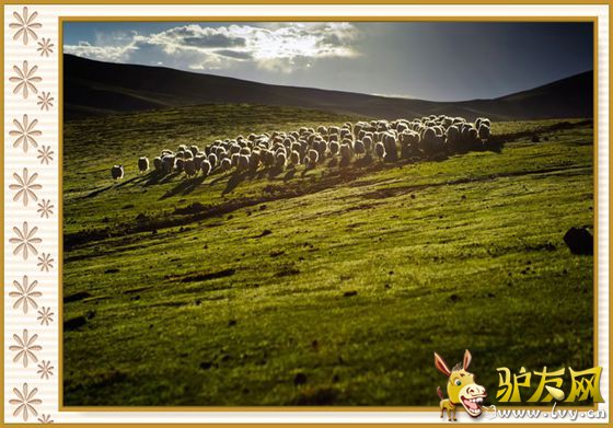 风景 3.jpg