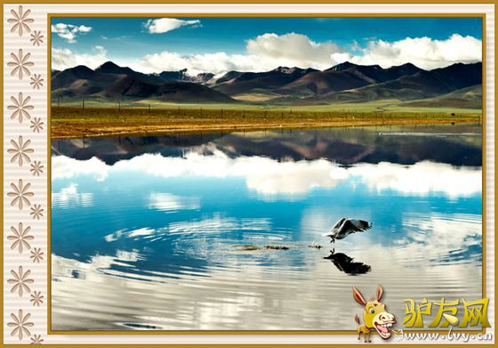 风景 5.jpg