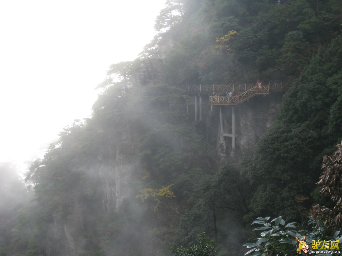 江西武功山 (17).jpg