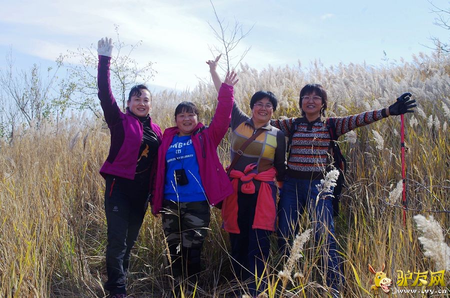 IMGP4347_副本.jpg