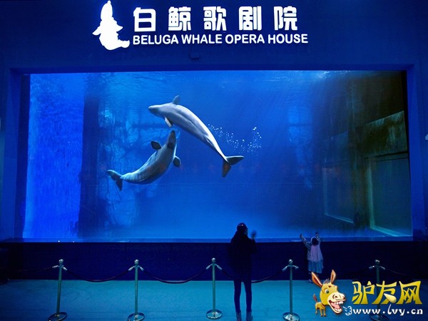 曲江海洋极地公园2.jpg